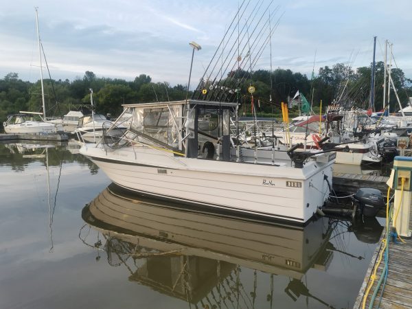 Certificat cadeau sur le bateau Big-Brother avec Jean-Francois Saumontario